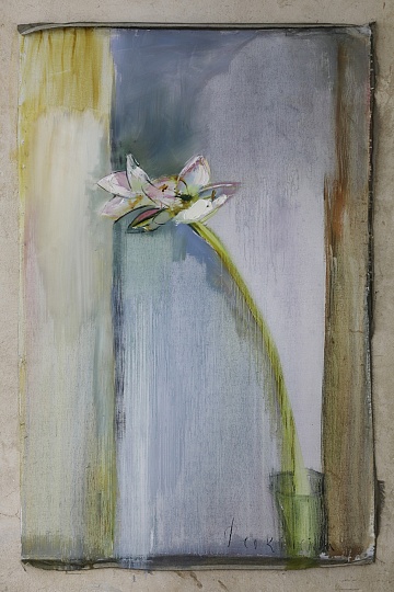 Картина цветок амариллиса фото 1