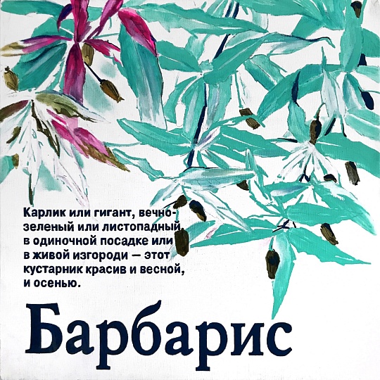 Картина барбарис фото 1