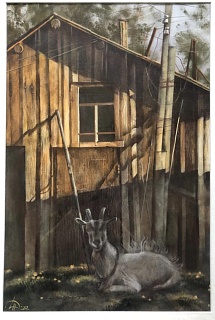 Деревня Едома. Коза