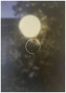 Без названия