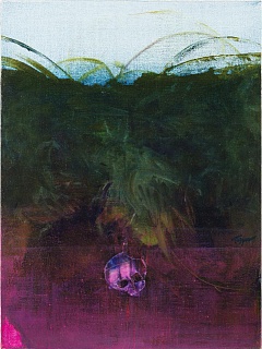 Voyager 17