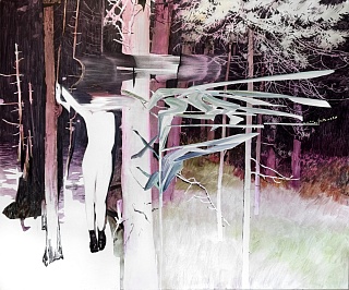 Картина leucadendron