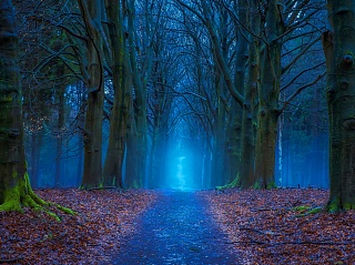 Twilight