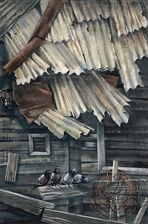 Деревня Едома. Голуби