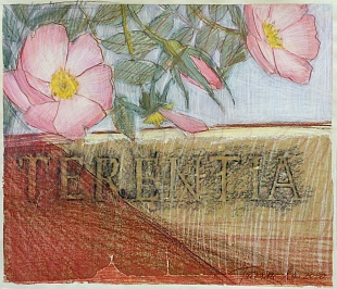  Из серии «Сады Мецената»