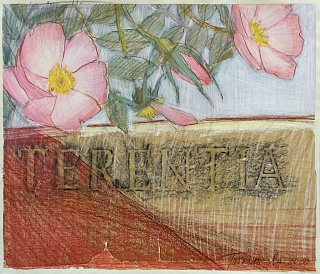 Картина  Из серии «Сады Мецената»