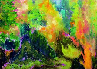 Седьмой континент