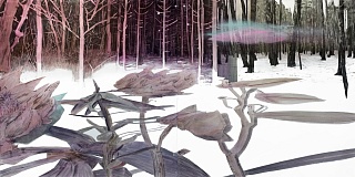 Аномалии Красного леса. Облако