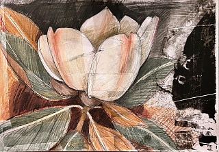 Картина  Из серии «Магнолия в саду  Гроттаферрата» - II