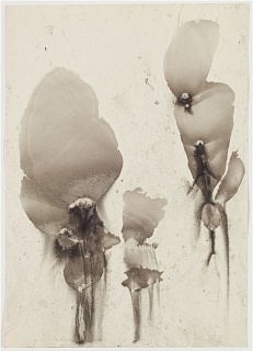 Композиция. Из цикла "Люди-свечи"