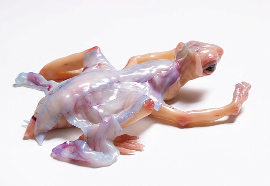 Картина мотылек Лиловый фото 1