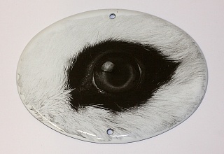 Картина глаз кролика