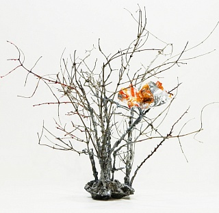 Алый цветок