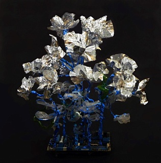 Цветы чипсов